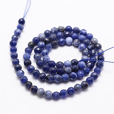 Natural Sodalite Beads Strands G-D840-19-4mm-1