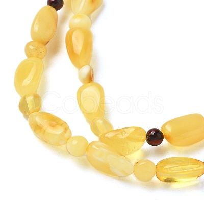 Natural Amber Beads Strands G-K387-C02-01-1