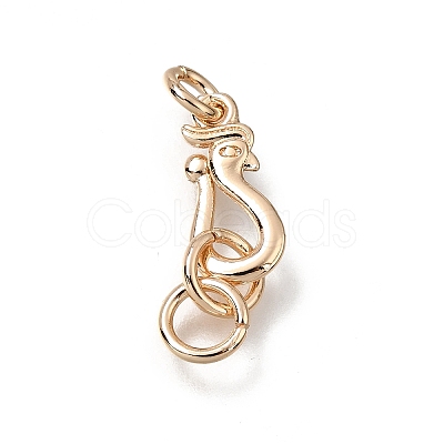 Brass Hooks KK-CBA0DF0-19B-KCG-1