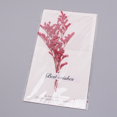 Paper Cards DIY-WH0183-41E-1