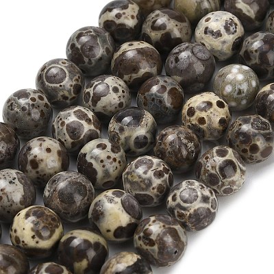 Natural Astroite Jasper Beads Strands G-F814-A01-10mm-1