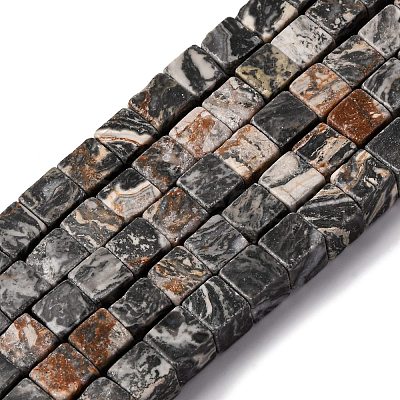 Natural Map Stone Beads Strands G-T139-8x8-45A-1
