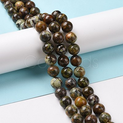 Natural Gemstone Beads Strands G-C238-02B-1