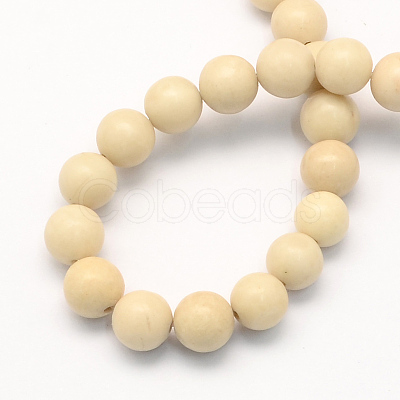 Natural Fossil Round Beads Strands G-S171-8mm-1