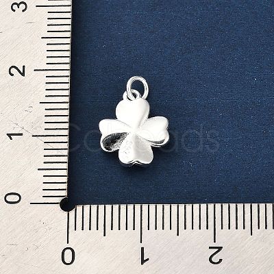 925 Sterling Silver Charms LS-FIND-Z069-04S-C-1