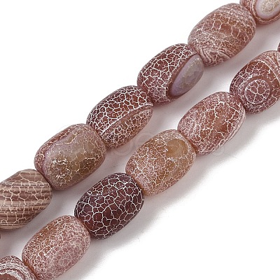 Natural Weathered Agate Beads Strands G-NH0047-B02-01-1