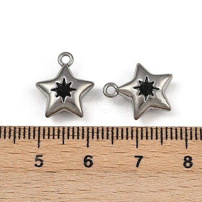 304 Stainless Steel Charms STAS-I342-10P-1