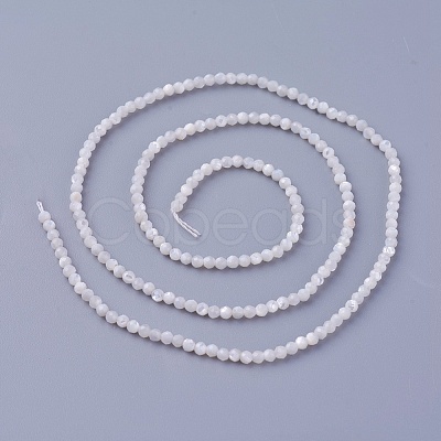 Shell Beads Strands SSHEL-E571-38-2mm-1