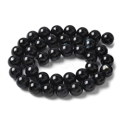 Natural Black Lip Shell Beads Strands SSHEL-C013-01D-1
