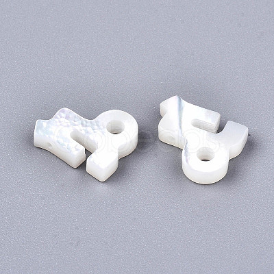 Natural White Shell Beads LS-SSHEL-ZX004-02K-1