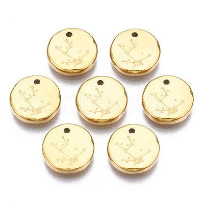 316 Surgical Stainless Steel Charms STAS-S116-418A-G-1
