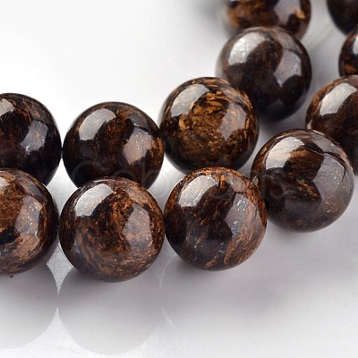 Natural Bronzite Round Beads Strands G-E330-10mm-03-1