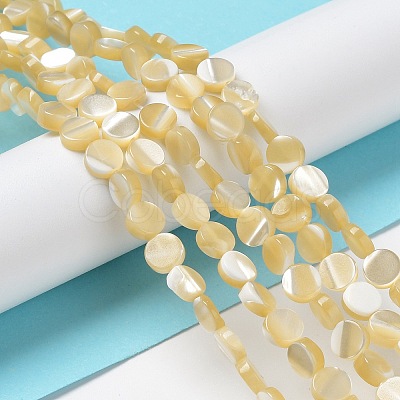 Natural Trochus Shell Beads Strands BSHE-P033-02-1