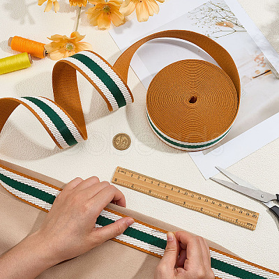 Polyester Grosgrain Ribbon OCOR-WH0105-091C-1