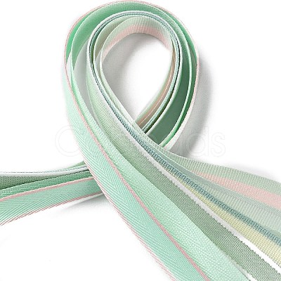 18 Yards 6 Styles Polyester Ribbon SRIB-Q022-F06-1