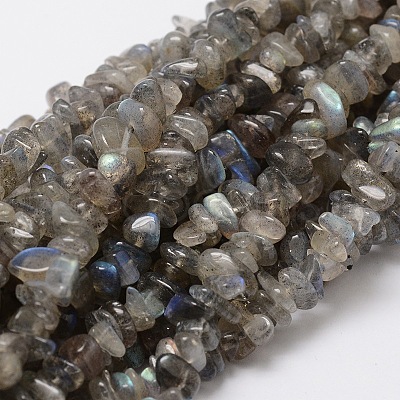 Natural Labradorite Chip Bead Strands G-M298-06-1