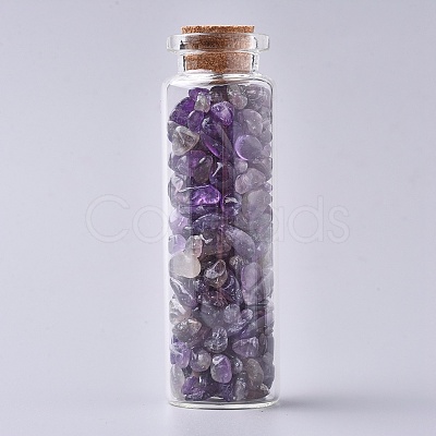 Glass Wishing Bottle DJEW-L013-A15-1