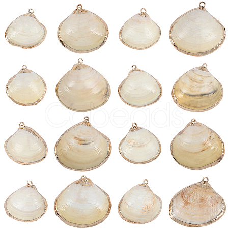 30Pcs Electroplated Natural Shell Pendants SSHEL-SC0001-58-1