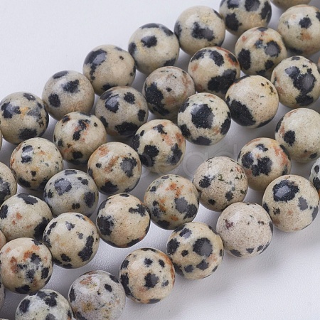 Natural Dalmation Jasper Beads Strands X-G-G515-6mm-06-1