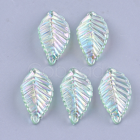 Transparent Acrylic Pendants TACR-T007-03B-1