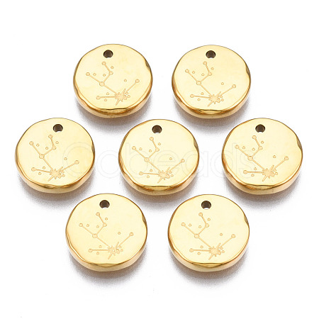316 Surgical Stainless Steel Charms STAS-S116-418A-G-1