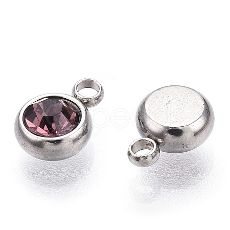 201 Stainless Steel Rhinestone Charms STAS-S068-06-1