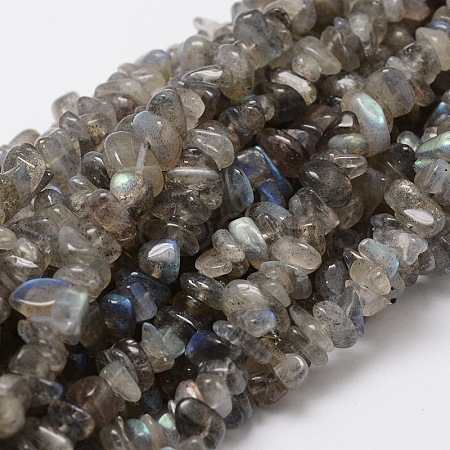 Natural Labradorite Chip Bead Strands G-M298-06-1