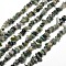 Natural Moss Agate Chip Bead Strands, 5~8x5~8mm, Hole: 1mm, about 31.5 inch