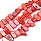 Natural Trochid Shell/Trochus Shell Beads Strands, Dyed, Rectangle, Tomato, 6~11x6~36x1~7mm, Hole: 1mm, about 45~55pcs/strand, 14.96 inch~15.35 inch(38cm~39cm)