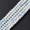 Ombre Effect Dyed Glass Beads Strands X-GLAA-C023-02A-6