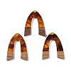 Resin & Wood Pendants WOOD-F015-16C-1