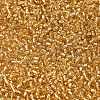 12/0 Glass Seed Beads X-SEED-A005-2mm-22-2