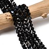 Natural Black Banded Agate/Striped AgateBeads Strands G-Z119-A03-01-1