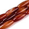 Natural Agate Dyed Beads Strands G-T138-230E-4