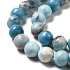 Natural Gemstone Beads Strands G-F730-02C-4