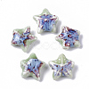 Handmade Porcelain Beads PORC-N004-27G-1