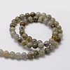 Natural Labradorite Round Beads Strands G-E329-8mm-48-2