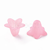 Transparent Acrylic Beads PLF018-02-3