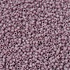 MIYUKI Delica Beads Small SEED-X0054-DBS0728-3