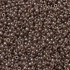 MIYUKI Round Rocailles Beads X-SEED-G007-RR0310-3