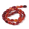 Natural Red Agate Beads Strands G-Q194-B01-01K-3