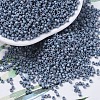 MIYUKI Delica Beads X-SEED-J020-DB0376-1