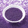 MIYUKI Round Rocailles Beads X-SEED-G007-RR0352-2