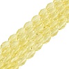 Transparent Glass Beads Strands GLAA-N071-01A-A02-1