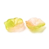 Glass Beads GLAA-Q095-01-3