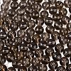 FGB Transparent Glass Seed Beads SEED-N013-01C-18-4