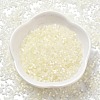 Imitation Cat Eyes Glass Seed Beads X-SEED-H003-03B-2
