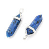 Natural Dalmatian Jasper Double Terminated Pointed Pendants G-F295-04O-4