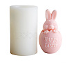 3D Easter Bunny Aromatherapy Food Grade Silicone Fondant Mold PW-WG36171-01-1
