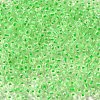 12/0 Transparent Glass Seed Beads SEED-F003-03C-13-3
